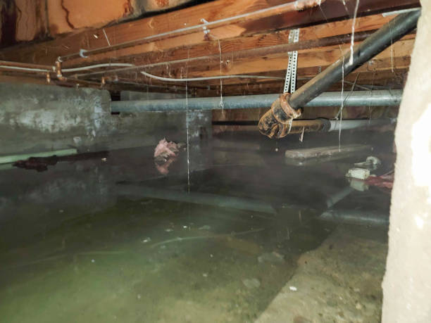 Best Fire Damage Restoration  in Bensenvle, IL
