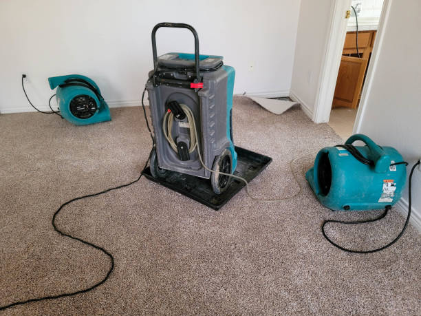 Best Commercial water damage restoration  in Bensenvle, IL