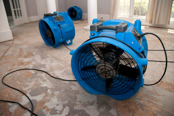 Best Professional water damage repair  in Bensenvle, IL